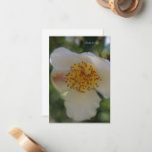 Weiße Blume, nah Mitteilungskarte (Vorderseite/Rückseite Beispiel)