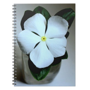 Weiße Blume Notizblock