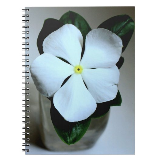 Weiße Blume Notizblock (Vorderseite)