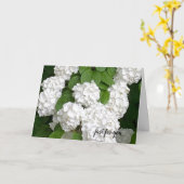 Weiße Blume nur für die Karte (Gelbe Blume)