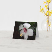 Weiße Blume - Pensando en ti, Spanisch Karte (Gelbe Blume)