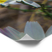 weiße Blume Poster (Ecke)