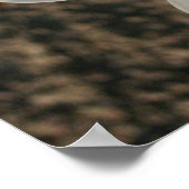 Weiße Blume Poster (Ecke)