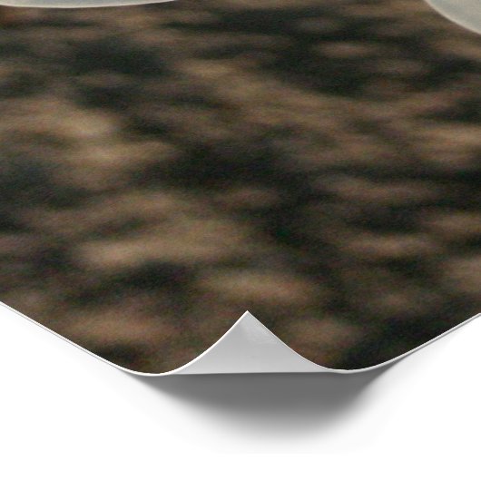 Weiße Blume Poster (Ecke)