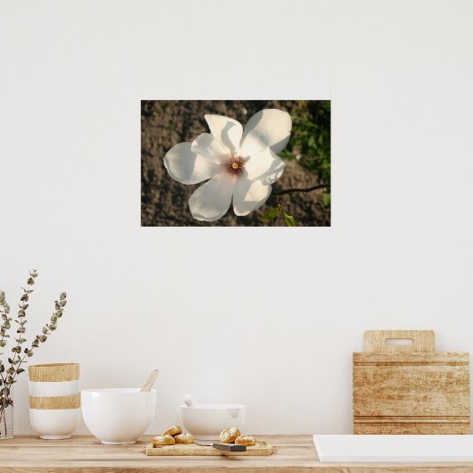 Weiße Blume Poster (Küche)