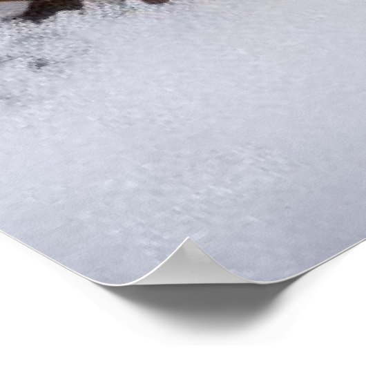 weiße Blume Poster (Ecke)