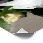 weiße Blume Poster (Ecke)