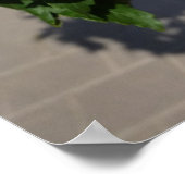 weiße Blume Poster (Ecke)