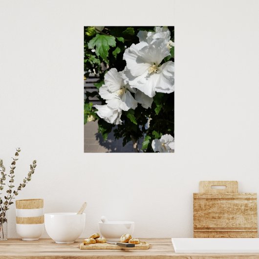 weiße Blume Poster (Küche)