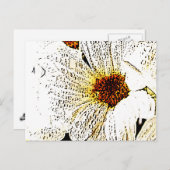 Weiße Blume Postkarte (Vorne/Hinten)
