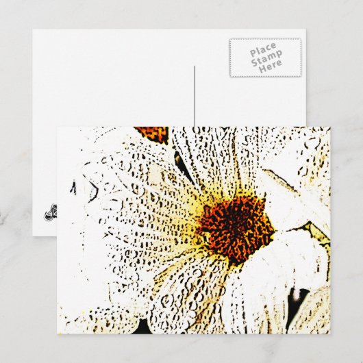 Weiße Blume Postkarte (Vorne/Hinten)
