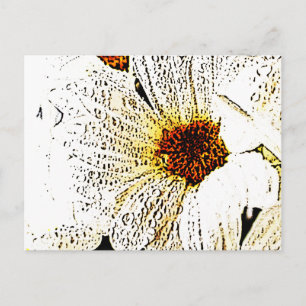 Weiße Blume Postkarte