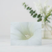 Weiße Blume Postkarte (Stehend Vorderseite)