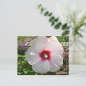 Weiße Blume Postkarte (Stehend Vorderseite)