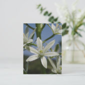 Weiße Blume Postkarte (Stehend Vorderseite)
