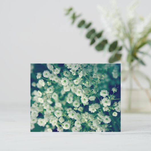 Weiße Blume Postkarte (Stehend Vorderseite)