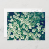 Weiße Blume Postkarte (Vorne/Hinten)