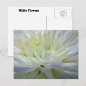 Weiße Blume Postkarte (Vorne/Hinten)