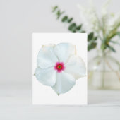 weiße Blume Postkarte (Stehend Vorderseite)