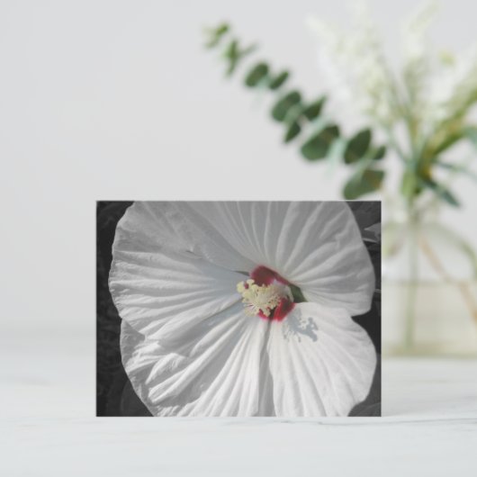 weiße Blume Postkarte (Stehend Vorderseite)