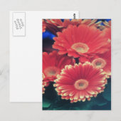 Weiße Blume Postkarte (Vorne/Hinten)