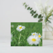 Weiße Blume Postkarte (Stehend Vorderseite)