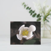 Weiße Blume Postkarte (Stehend Vorderseite)