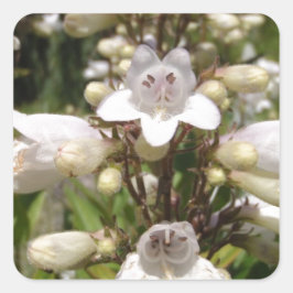 Weiße Blume Quadratischer Aufkleber