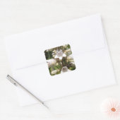 Weiße Blume Quadratischer Aufkleber (Umschlag)