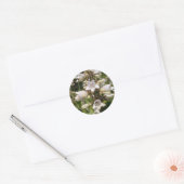 Weiße Blume Runder Aufkleber (Umschlag)