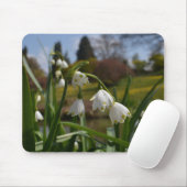 Weiße Blume Schneerauben mit Landschaftsgärten Mousepad (Mit Mouse)