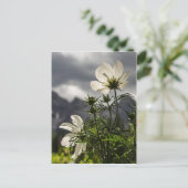Weiße Blume und Berge Postkarte (Stehend Vorderseite)