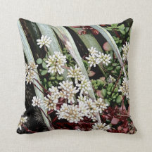 Weiße Blume und Packungsbeilage