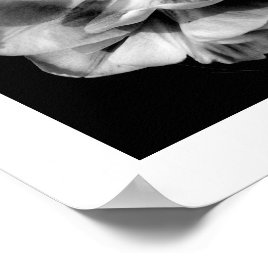 Weiße Blume zum schwarzen Hintergrund II Poster (Ecke)