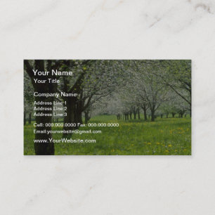 weiße Blumen Apfelbäume im Frühjahr Visitenkarte