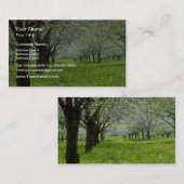 weiße Blumen Apfelbäume im Frühjahr Visitenkarte (Vorne/Hinten)