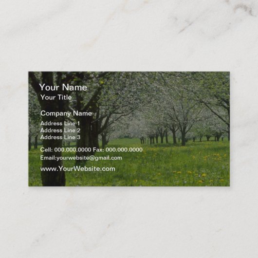 weiße Blumen Apfelbäume im Frühjahr Visitenkarte (Vorderseite)