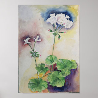 Weiße Blumen Aquarell – Botanischer Wandkunst Druc Poster