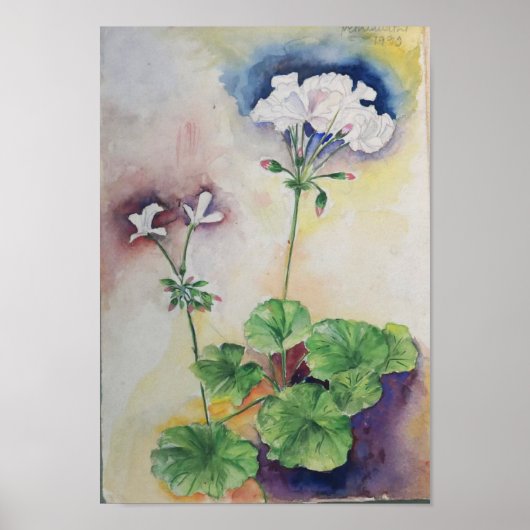 Weiße Blumen Aquarell – Botanischer Wandkunst Druc Poster (Vorne)