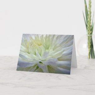 Weiße Blumen Feiertagskarte