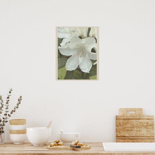 Weiße Blumen Foto Poster (Küche)