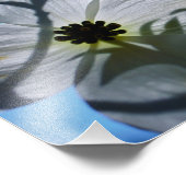 weiße Blumen Fotodruck (Ecke)
