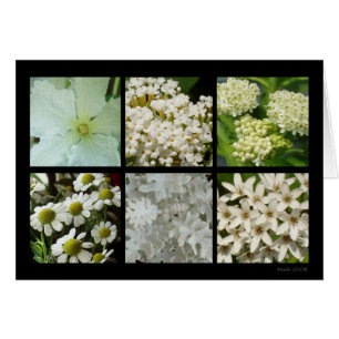 Weiße Blumen-Karte
