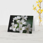 Weiße Blumen Karte (Gelbe Blume)
