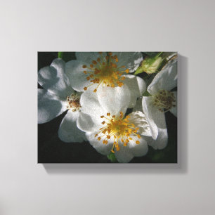 Weiße Blumen Leinwanddruck