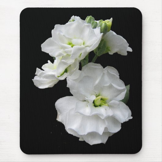 Weiße Blumen Mousepad (Vorne)