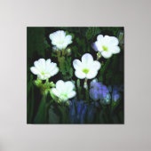 WEISSE BLUMEN STRETCHED CANVAS LEINWANDDRUCK (Vorderseite)