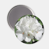 Weiße Blumenfotografie Magnet (Vorderseite/Rückseite)