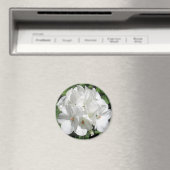 Weiße Blumenfotografie Magnet (In Situ (Geschirrspüler))