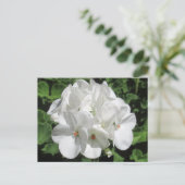 Weiße Blumenfotografie Postkarte (Stehend Vorderseite)